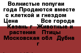 Волнистые попугаи, 2 года.Продаются вместе с клеткой и гнездом. › Цена ­ 2 800 - Все города, Казань г. Животные и растения » Птицы   . Московская обл.,Дубна г.